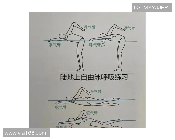 自由泳呼吸技巧全面解析与常见问题解决方法